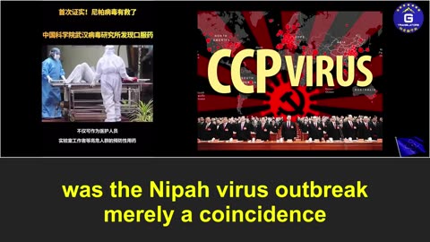 The outbreak of the Nipah virus amid the CCP being under pressure on all sides, a coincidence?