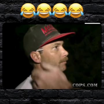 Iconic traffic stop... never lied