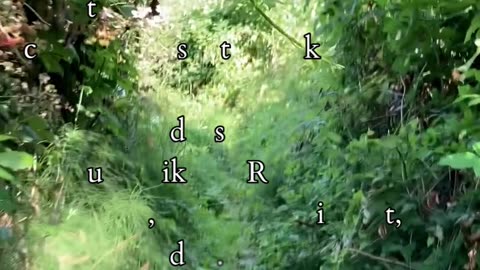 The Conqueror’s Return to Source | Path and Tarot Reading