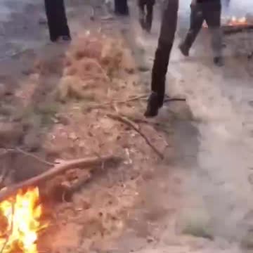 Russian Soldiers Trekking Through Burning Forests Carrying Wood for Fortifications
