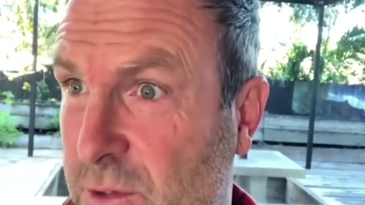 Apparently someone owns me. Coulda told me! | A Stand in the Park & Brady Gunn