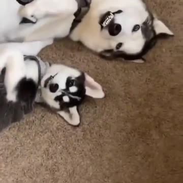 Like father, like son.. 😂