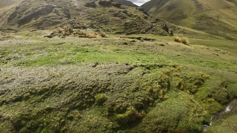 Empezando la caminata x Pukaccacca #Huancavelica #Andes
