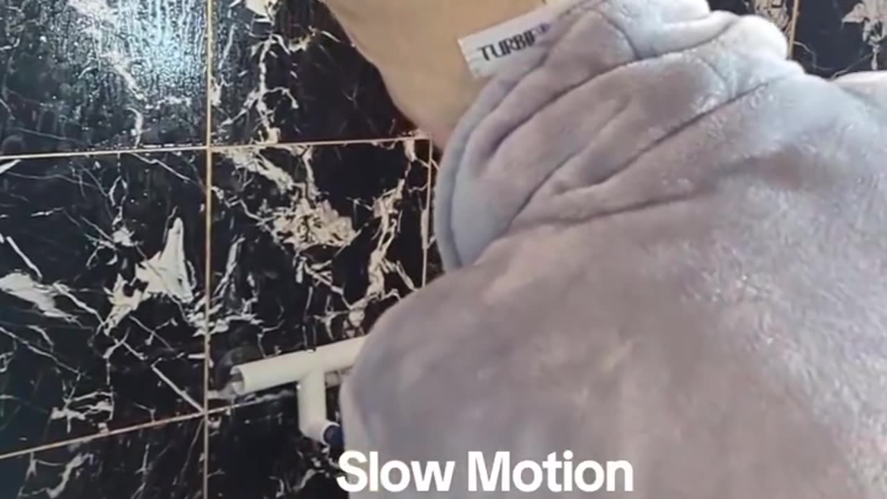 How to Properly Towel/Restrain Your Parrot