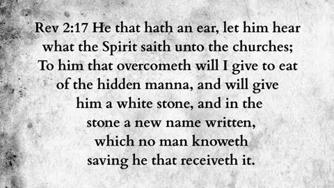 Martus Ministry -376- The pledge
