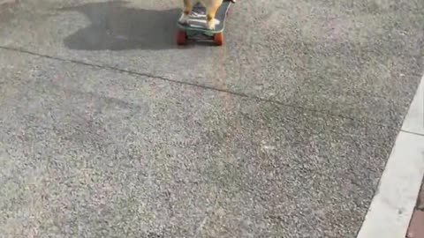 Playing skateboards with friends is fun.