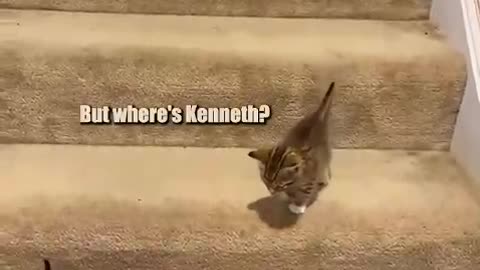 stairs are very treacherous😹😹😹😁❤️