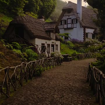 In the heart of the forest, everything slows down.