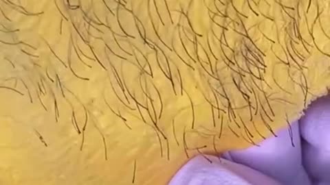 Underarm Waxing with Sexy Smooth Golden Allure Hard Wax | @lucentskinaesthetics Tutorial