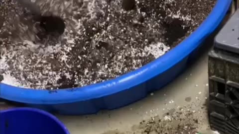 Making Super Soil in 2 minutes