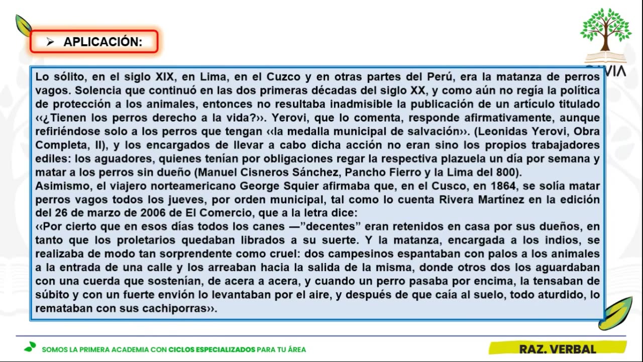 SAVIA SEMIANUAL 2024 | Semana 19 | R. Verbal