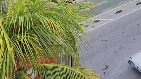 Spotted Large DoorDash Delivery Bag Car