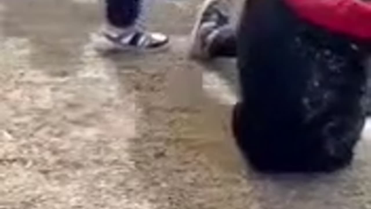 EMS fight 4/10/25 12 pm