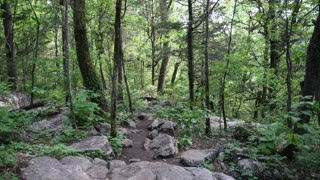 Rainbow Mountain Nature Preserve in Madison, Alabama U.S.A.