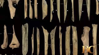 Spanish archaeologists find signs of war cannibalism from 5,700 years ago