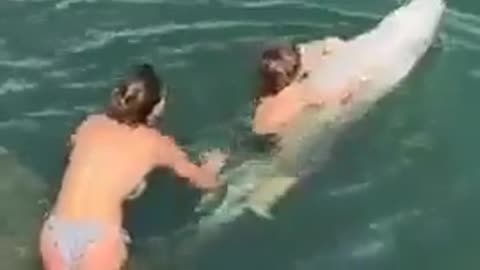 🤣🐬 Wait For The Epic Save! My Aquatic Marine Mammals Need Me | FunFM