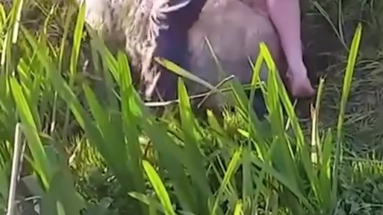 Fun funny