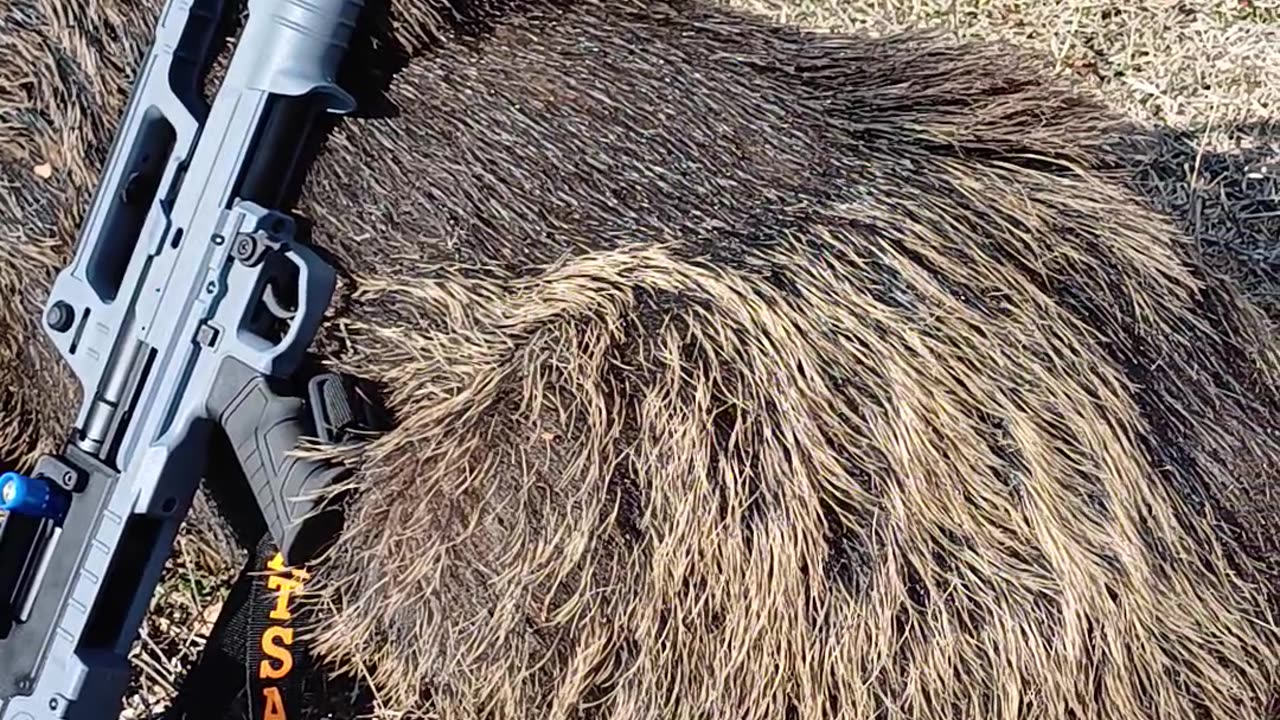 Hatsan Bulltac 12 İle Domuz Avı