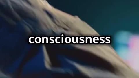 An excellent breakdown of chemtrails