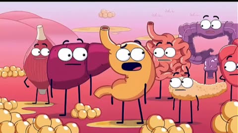 What happens inside your body when you fast for 36 hours.