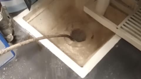 Rooter Man Pro Tip Tuesday: Drain Snaking for Charleston Businesses