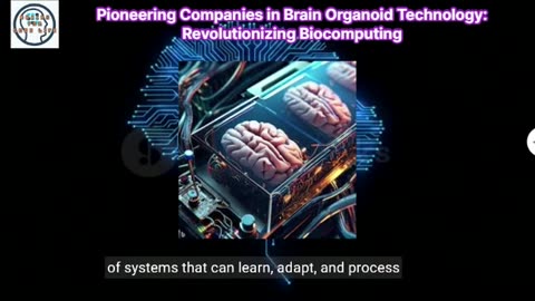 Innovative Biocomputing Companies Leading the Charge with Brain Organoids Discover the groundbreaking advancements in biocomputing by leading companies like FinalSpark, Cerebras Systems, Koniku, Cortical Labs, and Herophilus. These pioneers are utilizing