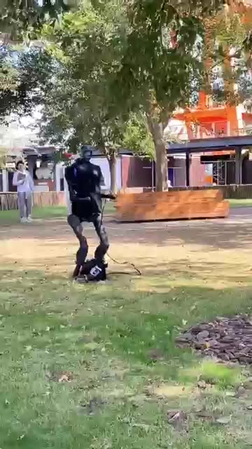 Robot walking a robot dog in China #china #shorts #tech