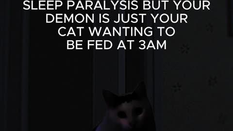 Sleep Paralysis but It’s Just Your Cat! 😱🐱