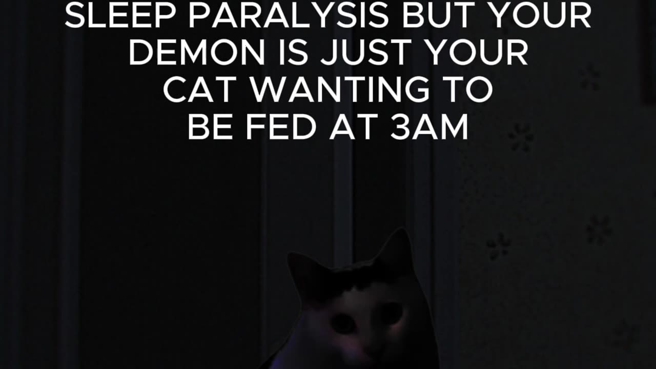 Sleep Paralysis but It’s Just Your Cat! 😱🐱