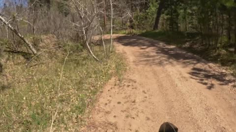 Teepee Gulch Road