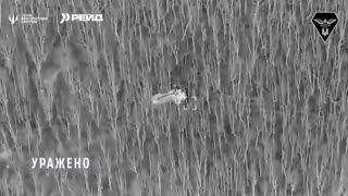 😎💥Destruction of Russian BUK-M2 air defense system, 2S19 Msta-S howitzer