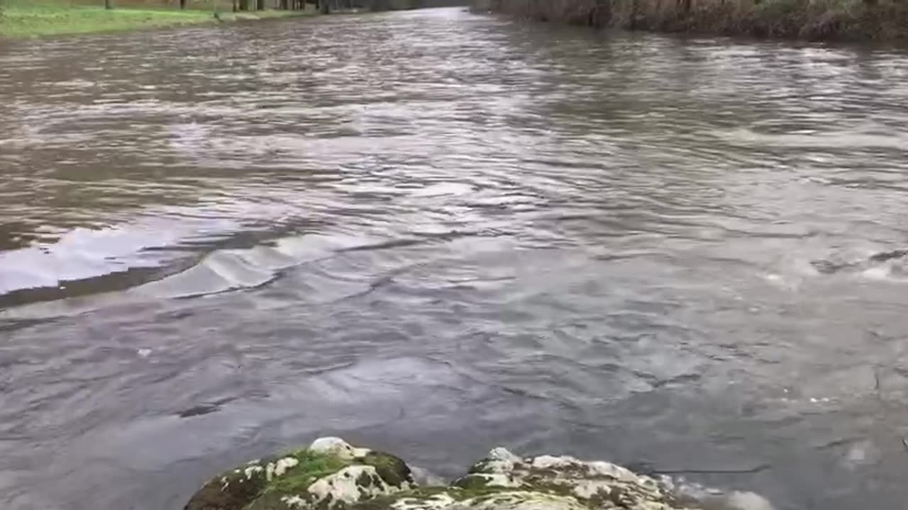 Healing Trauma - Trust the Flow