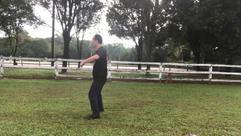 Aerobic Tai Chi Workout-022-Monster Posture