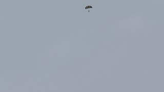 SAW A SKYDIVER!