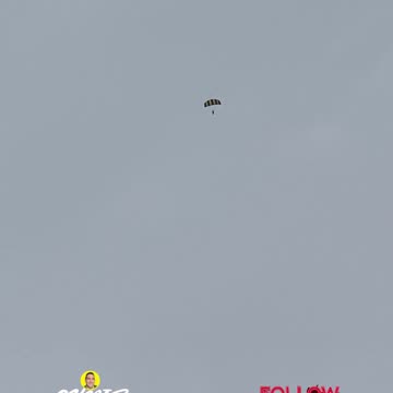 SAW A SKYDIVER!