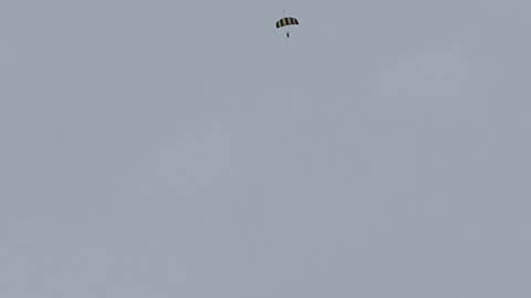 SAW A SKYDIVER!