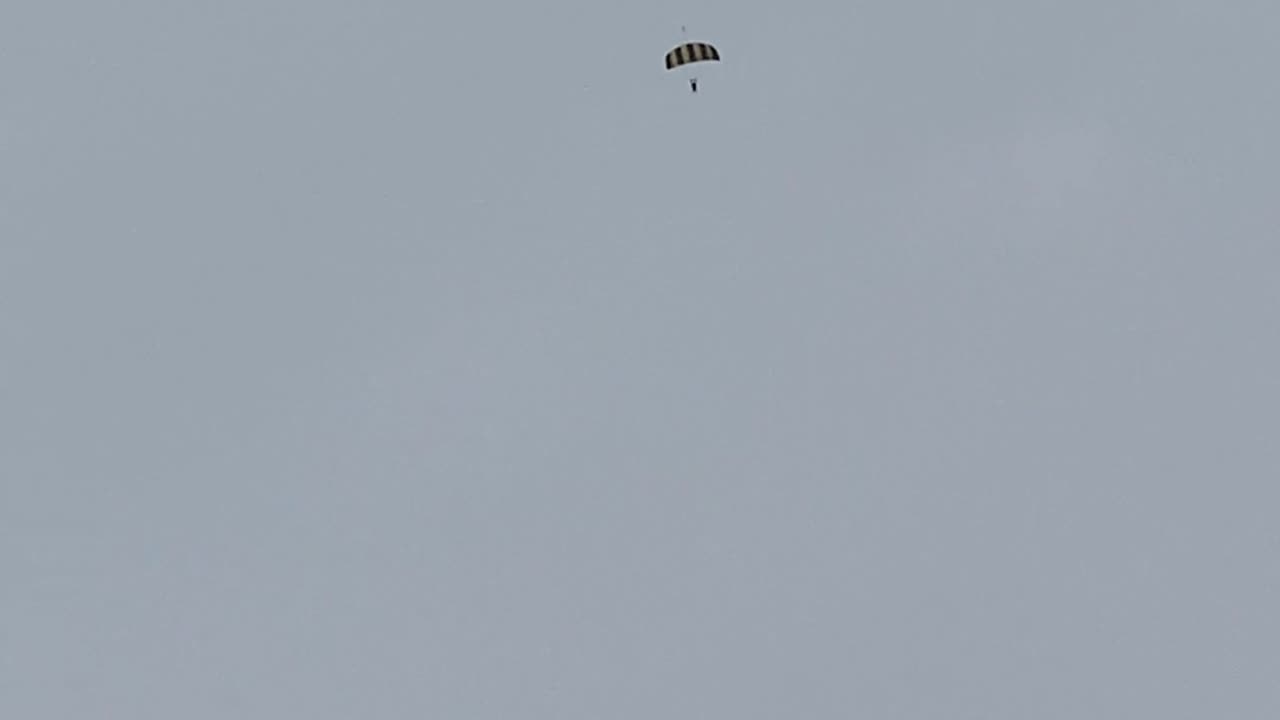 SAW A SKYDIVER!