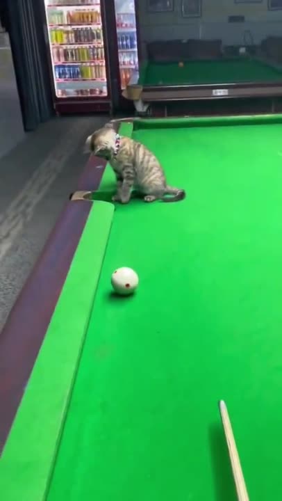 This is not cheating....LMAO