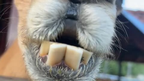 Hei sveis! God Friday😅😅😅