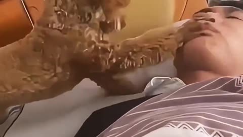 funny & cute animals