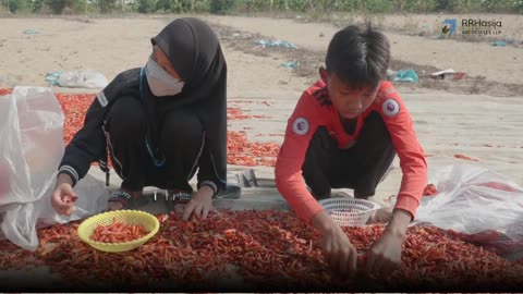 End Child Labour: Every Child Deserves a Future of Hope and Learning