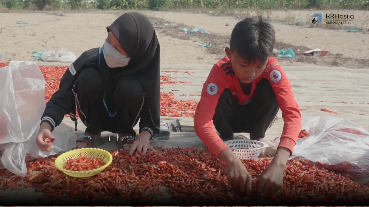 End Child Labour: Every Child Deserves a Future of Hope and Learning