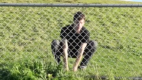 How-Animals-Get-Over-a-Fence-With-Emojis