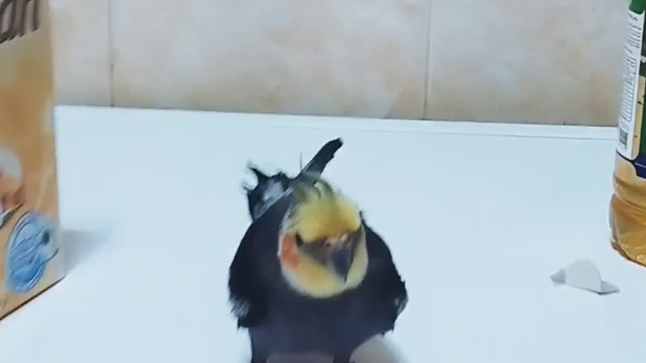 Washing clothes with a washing machine