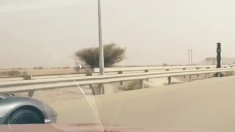 🚨🚨 What's Going On in this #report_test_001 Video? | LuxurySportsCars