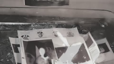 Tim Rifat TikTok Videos