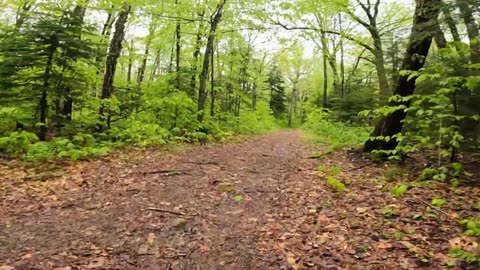 Take a Hike