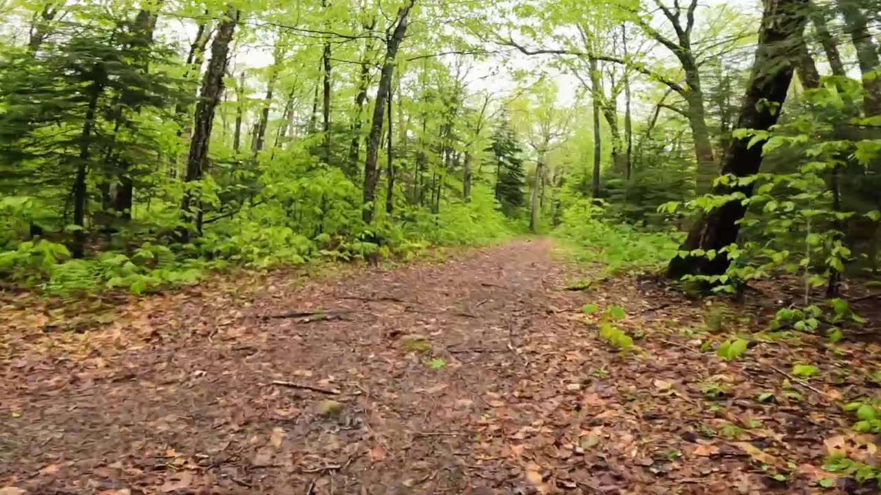 Take a Hike