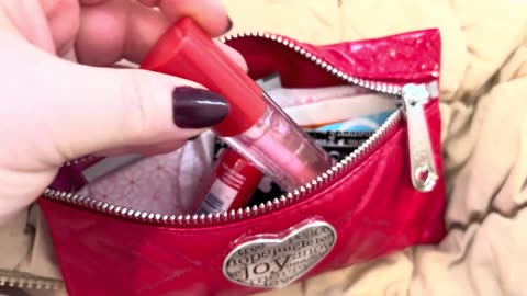 What's in my Cluci Puffy Hobo Bag w/New Charm & Wallet.