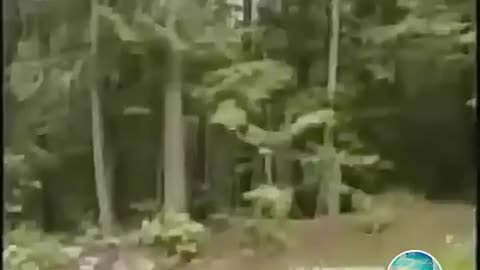 What Happened to the First Truthers